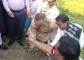 ঝালকাঠিতে এলজিইডি’র উদ্যোগে বৃক্ষরোপণ কর্মসূচি