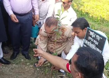 ঝালকাঠিতে এলজিইডি’র উদ্যোগে বৃক্ষরোপণ কর্মসূচি